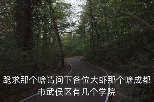 跪求那個啥請問下各位大蝦那個啥成都市武侯區有幾個學院
