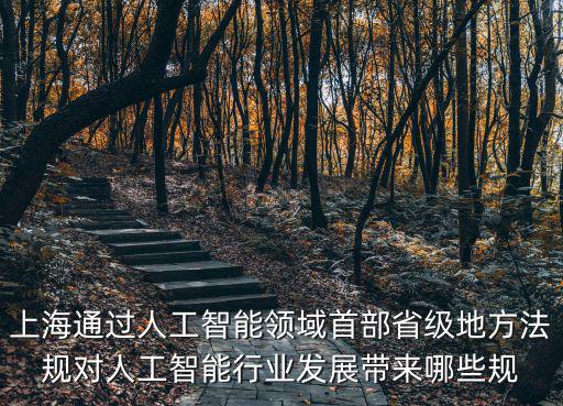 上海通過人工智能領(lǐng)域首部省級(jí)地方法規(guī)對(duì)人工智能行業(yè)發(fā)展帶來哪些規(guī)