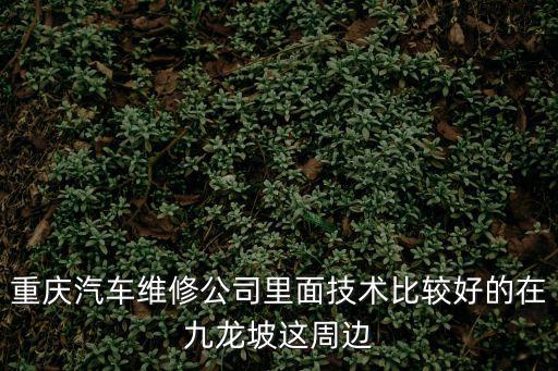 重慶汽車維修公司里面技術比較好的在九龍坡這周邊