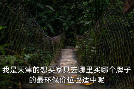 我是天津的想買家具去哪里買哪個(gè)牌子的最環(huán)保價(jià)位也適中呢
