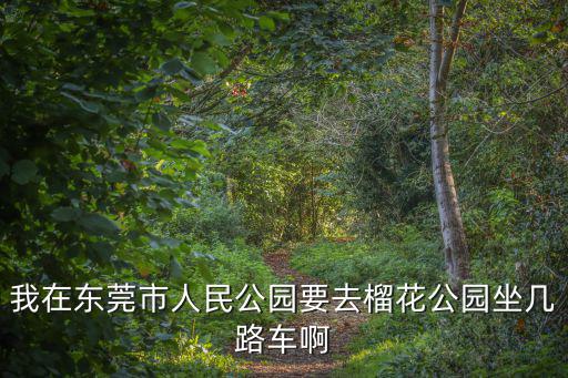 我在東莞市人民公園要去榴花公園坐幾路車(chē)啊