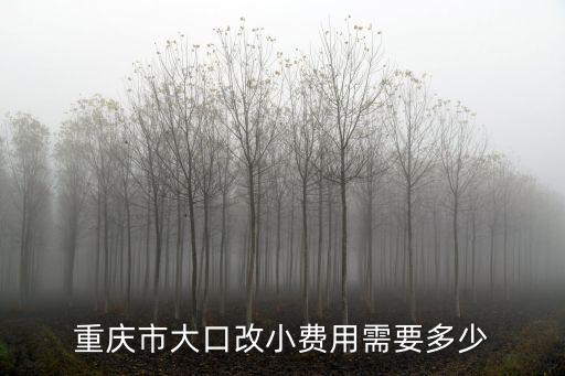 重慶市大口改小費用需要多少