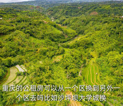 重慶的公租房可以從一個區換到另外一個區去嗎比如沙坪壩大學城換
