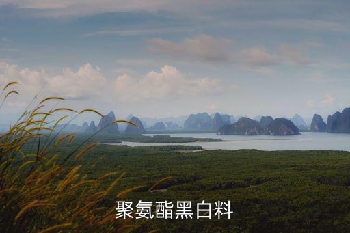聚氨酯黑白料