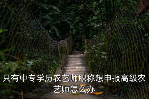 只有中專學歷農藝師職稱想申報高級農藝師怎么辦