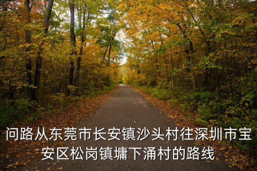 問路從東莞市長安鎮沙頭村往深圳市寶安區松崗鎮墉下涌村的路線