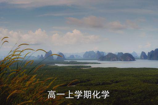 高一上學期化學