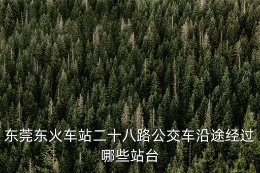 東莞東火車站二十八路公交車沿途經(jīng)過哪些站臺