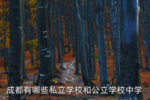 成都有哪些私立學(xué)校和公立學(xué)校中學(xué)