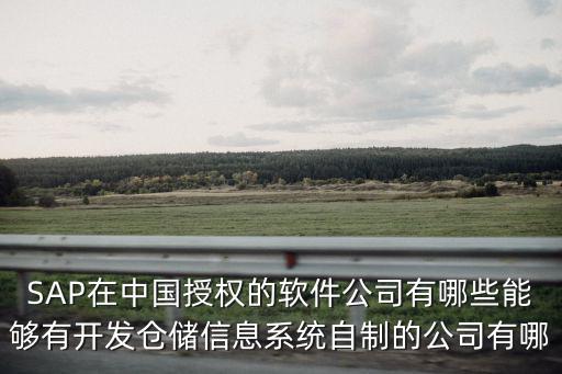SAP在中國授權的軟件公司有哪些能夠有開發倉儲信息系統自制的公司有哪