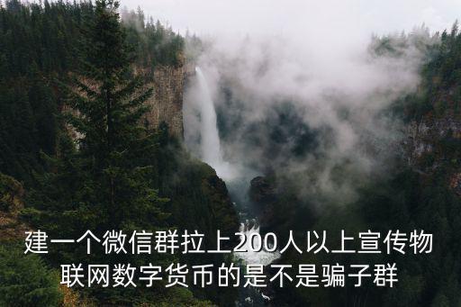 建一個微信群拉上200人以上宣傳物聯網數字貨幣的是不是騙子群