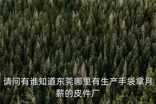 請問有誰知道東莞哪里有生產手袋拿月薪的皮件廠
