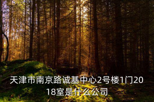 天津市南京路誠基中心2號樓1門2018室是什么公司