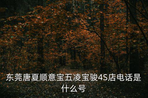 東莞唐夏順意寶五凌寶駿4S店電話是什么號