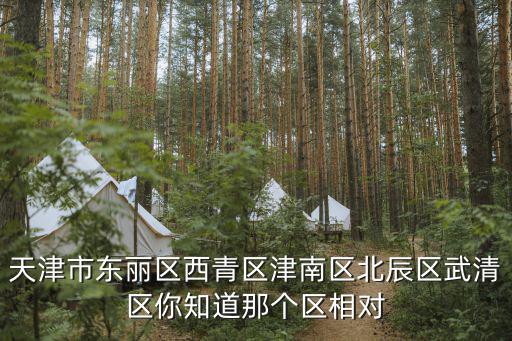天津市東麗區西青區津南區北辰區武清區你知道那個區相對