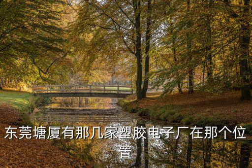 東莞塘廈有那幾家塑膠電子廠在那個(gè)位置
