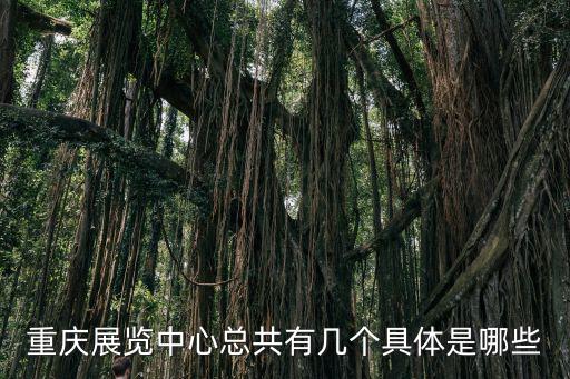 重慶市重慶國際會議展覽中心，重慶國際會展中心就是南坪國際會展中心嗎