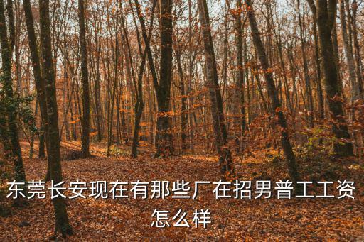 東莞長安田治廠工資待遇普工，東莞長安普工工資一般是多少電子廠