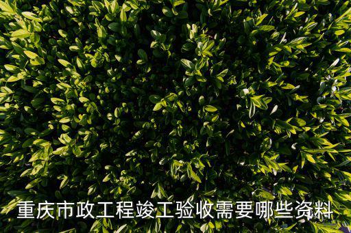 重慶市政工程竣工驗收需要哪些資料