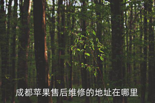 成都市蘋果維修直營店，成都地區的蘋果售后服務中心在哪里