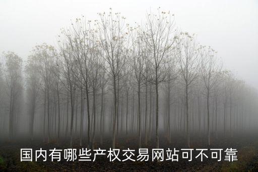 國內有哪些產權交易網站可不可靠