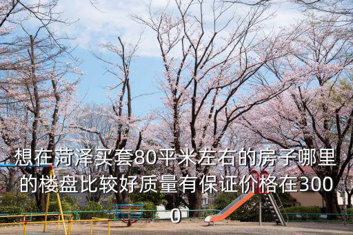 想在菏澤買(mǎi)套80平米左右的房子哪里的樓盤(pán)比較好質(zhì)量有保證價(jià)格在3000