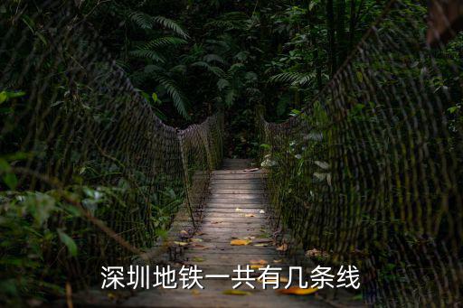 深圳地鐵一共有幾條線