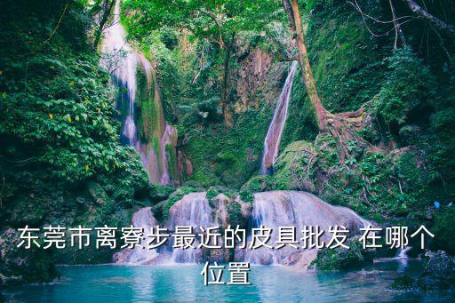 東莞市離寮步最近的皮具批發 在哪個位置