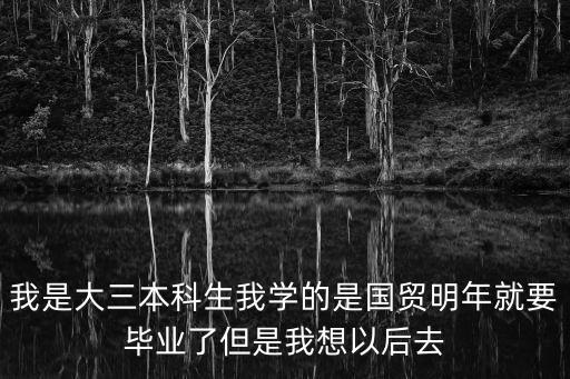 我是大三本科生我學的是國貿明年就要畢業了但是我想以后去