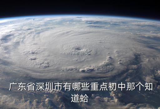  廣東省深圳市有哪些重點初中那個知道蛤