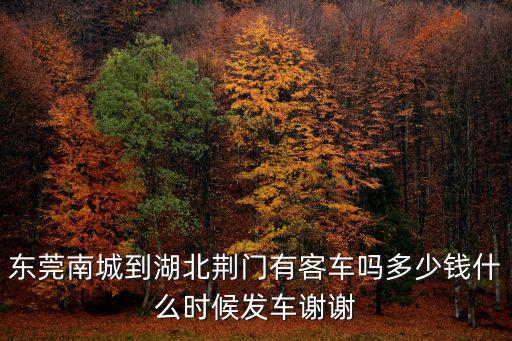 東莞南城到湖北荊門有客車嗎多少錢什么時候發車謝謝