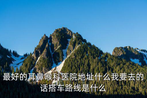最好的耳鼻喉科醫院地址什么我要去的話搭車路線是什么