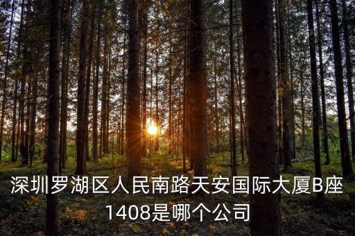深圳羅湖區人民南路天安國際大廈B座1408是哪個公司
