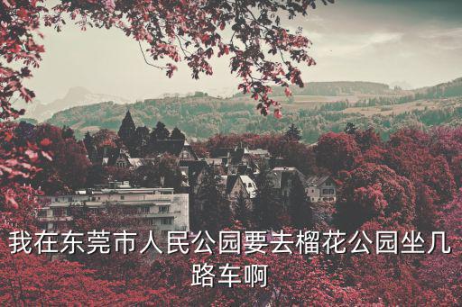 我在東莞市人民公園要去榴花公園坐幾路車啊