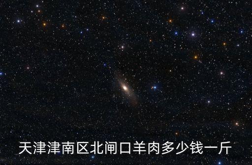 天津津南區北閘口羊肉多少錢一斤