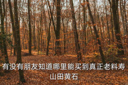 有沒有朋友知道哪里能買到真正老料壽山田黃石
