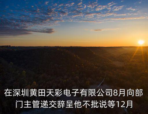 在深圳黃田天彩電子有限公司8月向部門主管遞交辭呈他不批說等12月