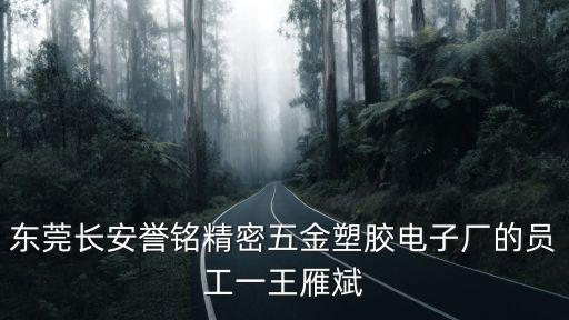 東莞市孛斯五金電子有限公司 吳太武，東莞長安譽銘精密五金塑膠電子廠的員工一王雁斌