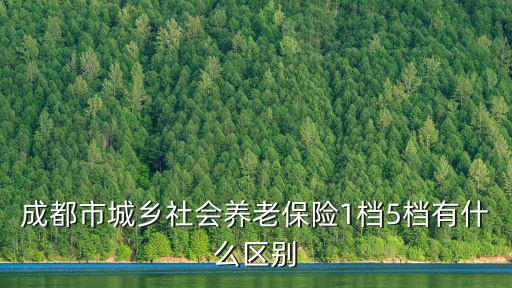 成都市城鄉社會養老保險1檔5檔有什么區別