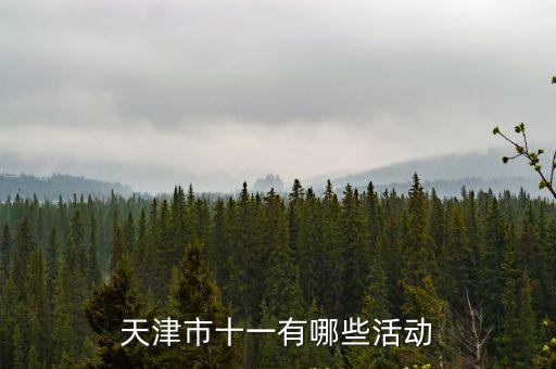 天津市十一有哪些活動