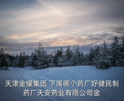 天津金耀集團 下屬哪個藥廠好健民制藥廠天安藥業有限公司金