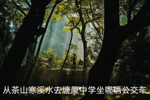 從茶山寒溪水去塘廈中學坐哪輛公交車