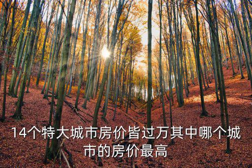 14個特大城市房價皆過萬其中哪個城市的房價最高
