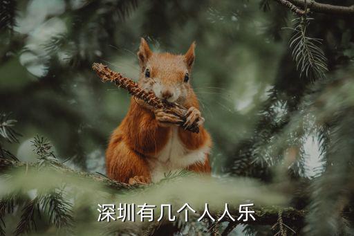 深圳有幾個人人樂