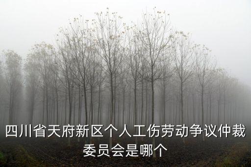 四川省天府新區個人工傷勞動爭議仲裁委員會是哪個
