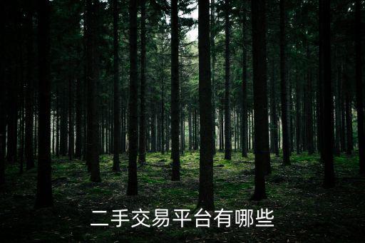 閑魚上深圳世特威數碼體驗店，深圳蘋果專賣店地址最好有乘路線和道路指導