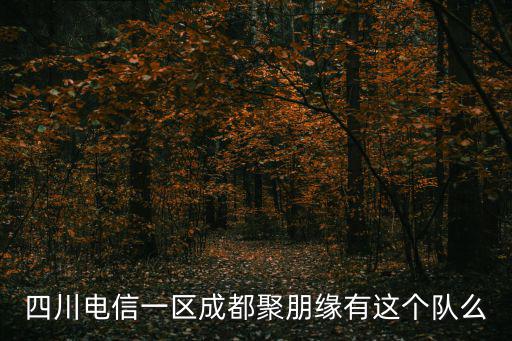 四川電信一區成都聚朋緣有這個隊么