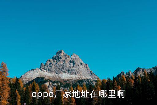 oppo廠家地址在哪里啊