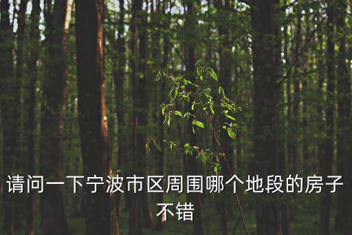 請問一下寧波市區周圍哪個地段的房子不錯