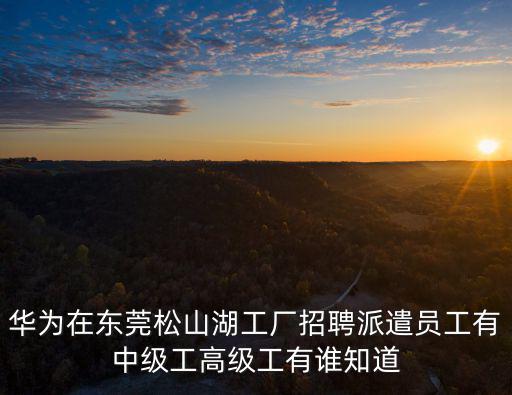 華為在東莞松山湖工廠招聘派遣員工有中級工高級工有誰知道